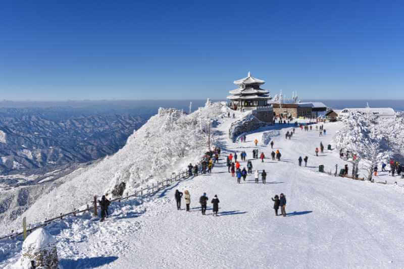 Checklist travel Korea untuk pelancong kali pertama